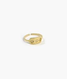  ZAG Bijoux - Ring Lassie CZ vergoldet - Beautiful Joy